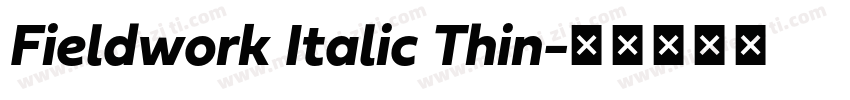 Fieldwork Italic Thin字体转换